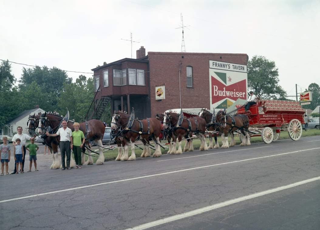 Budweiser Clydesdales at Franny's Tavern, 1970s